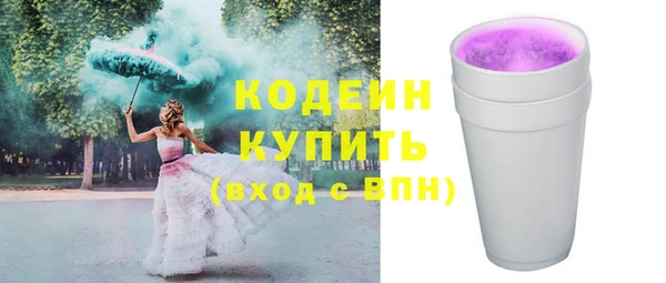 хмурый Алексин
