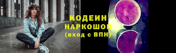 хмурый Алексин