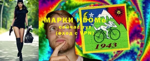 хмурый Алексин