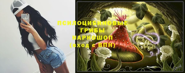 Альфа ПВП Алзамай