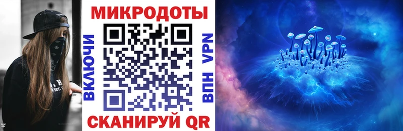 Галлюциногенные грибы Psilocybe Трубчевск