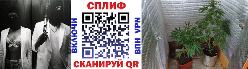Бошки Шишки OG Kush  Трубчевск 